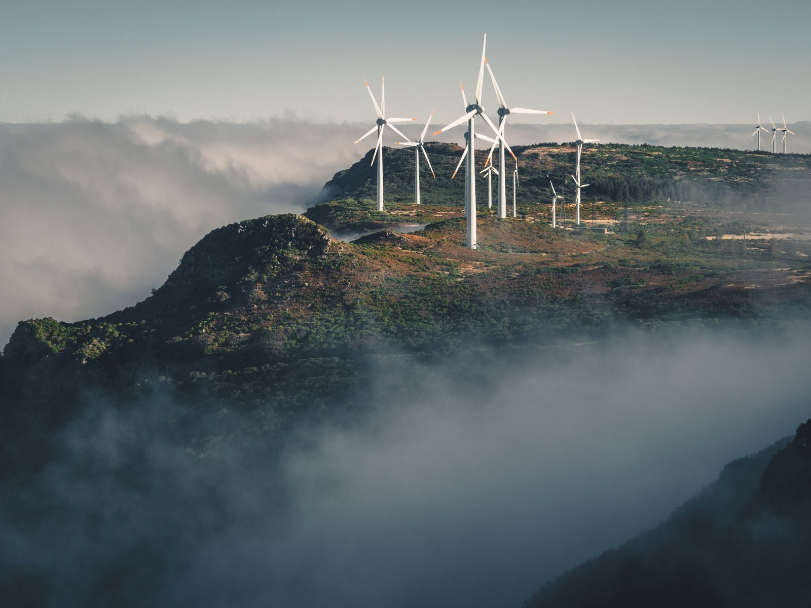 La industria más contaminante del mundo también puede volverse limpia