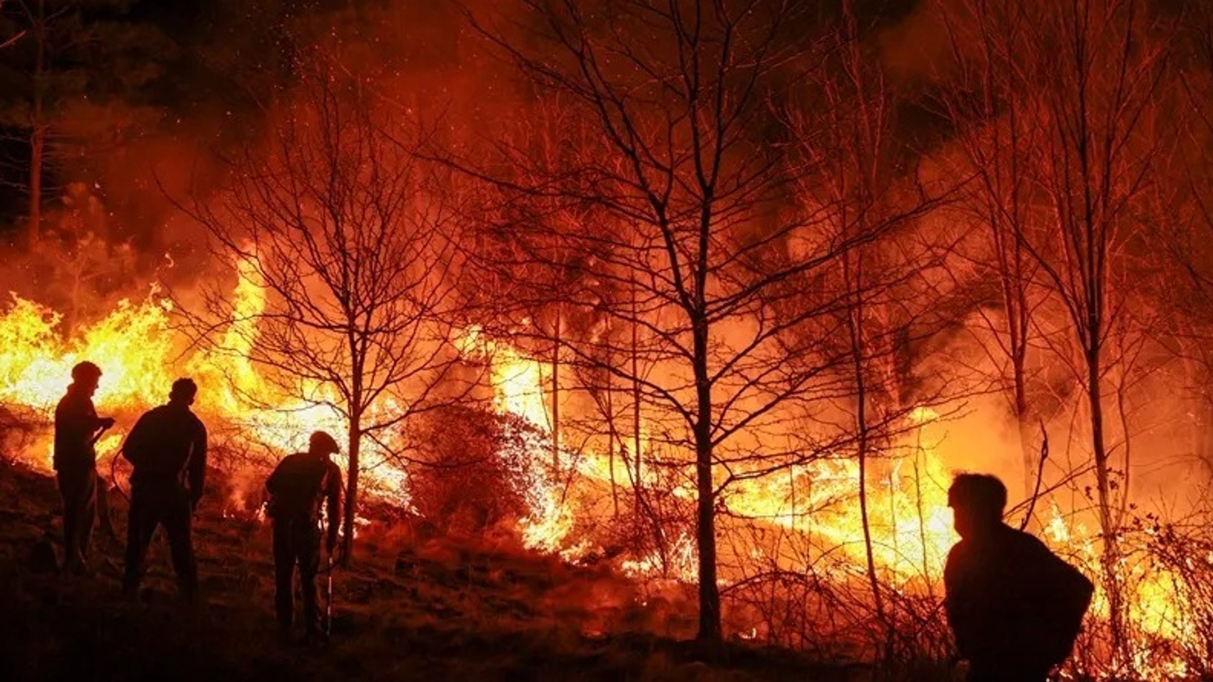 España sufre una ola de incendios tras el calor extremo: evacuaciones y fuego descontrolado en varias regiones