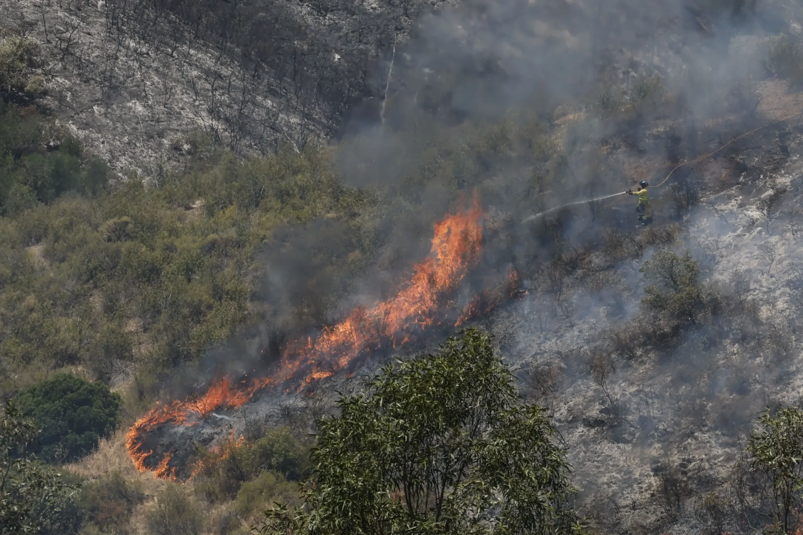 Greenpeace avisa: los incendios de este verano en España «no son catástrofes impredecibles»