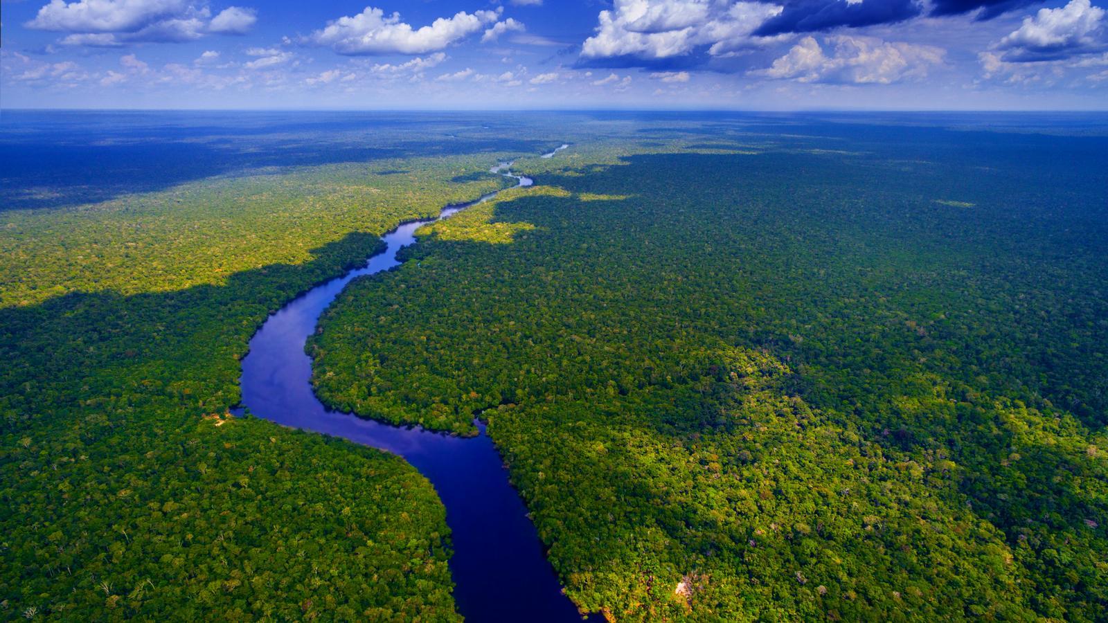 Colombia marca el camino: la Amazonía no se mina