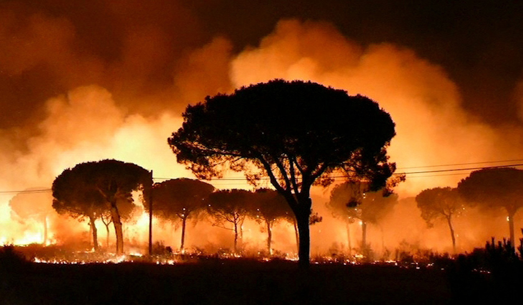 WWF exige respuestas urgentes por los incendios en Doñana