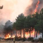 Diario de Extremadura