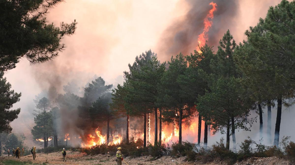 Incendios y crisis climática: por qué España arde cada vez más y peor