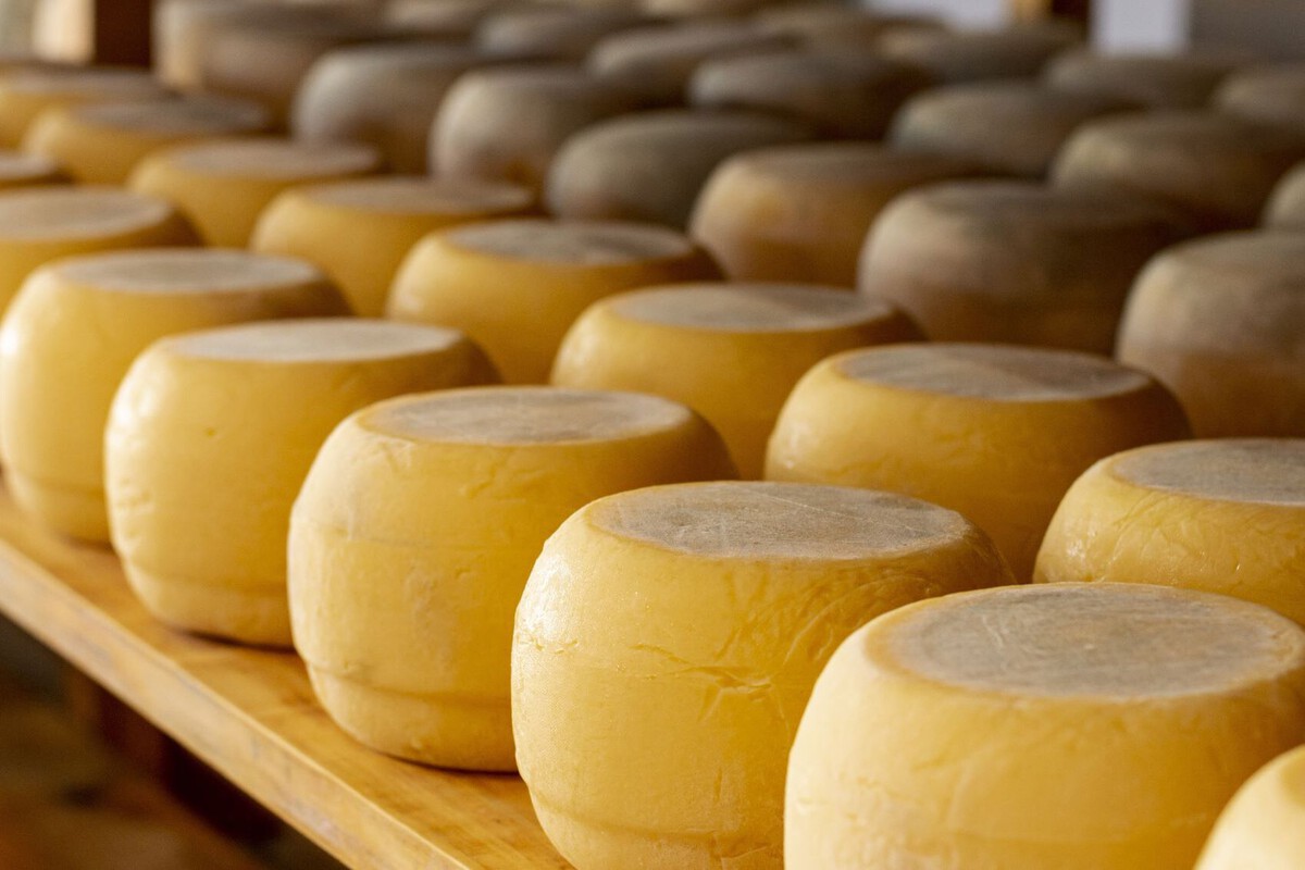 El insólito caso del “queso del Gobierno” de EE.UU.: millones de toneladas almacenadas en minas subterráneas tras un plan fallido