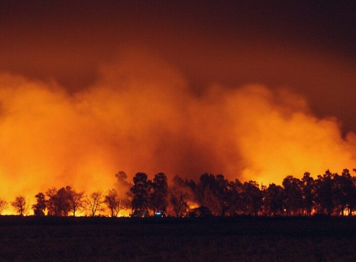 a large fire burning in a field next to a forest