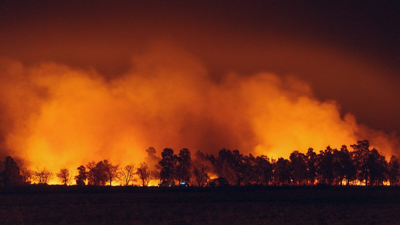 Los compuestos tóxicos de los incendios viajan cientos de kilómetros y su efecto puede ser letal