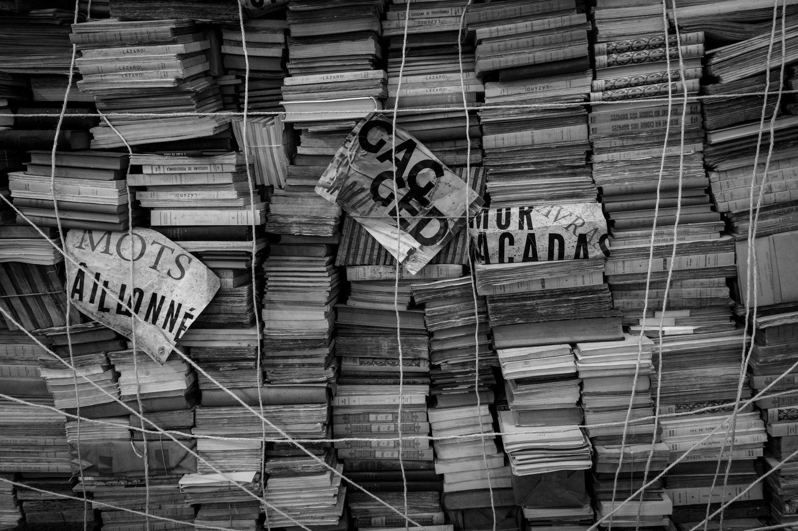 Lo que Estados Unidos no quiere que sus hijos lean: casi 23.000 libros vetados en cuatro años