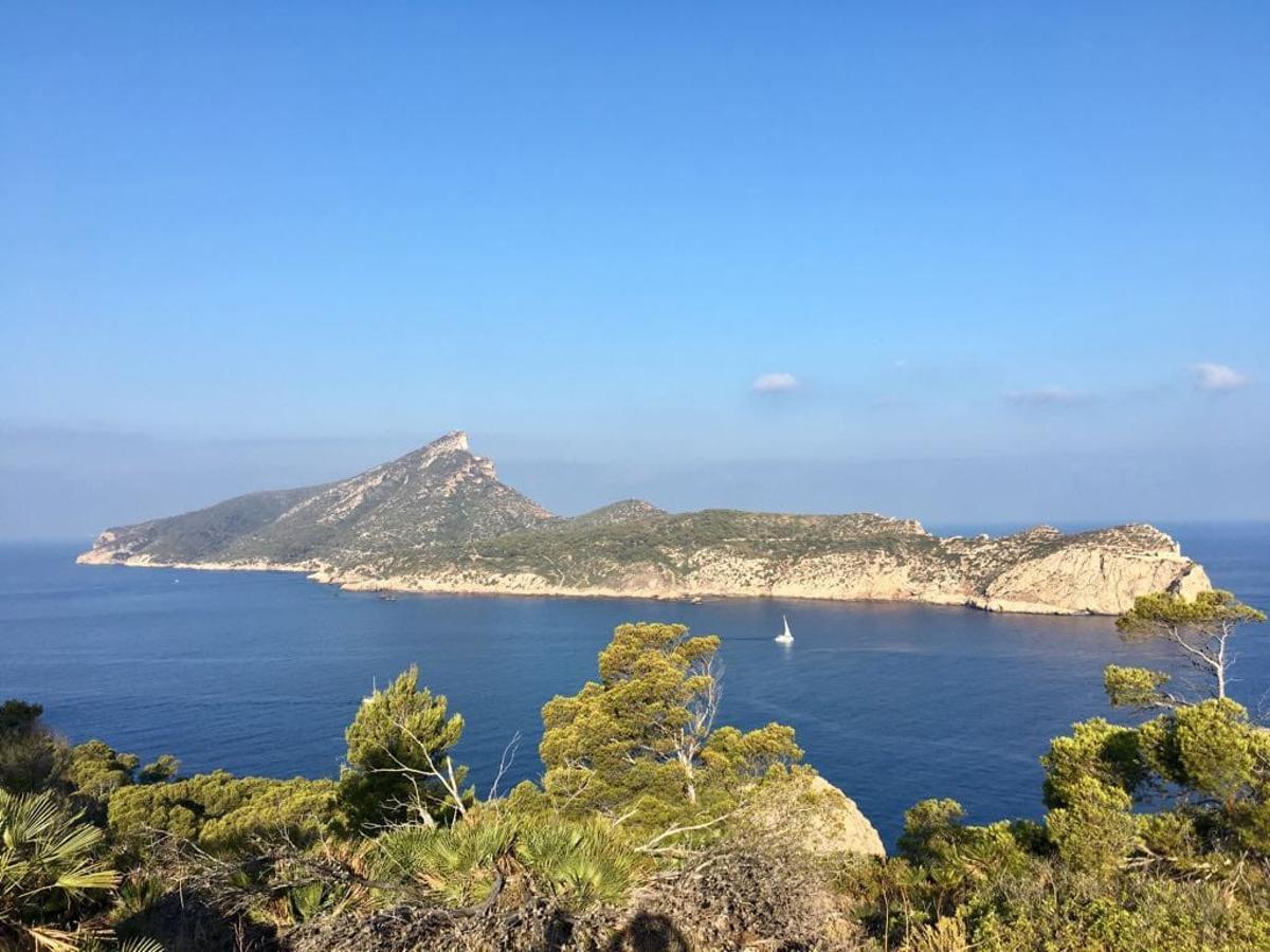 El cambio climático asfixia los mares españoles: Baleares supera los 33 ºC en unas aguas cada vez más cálidas