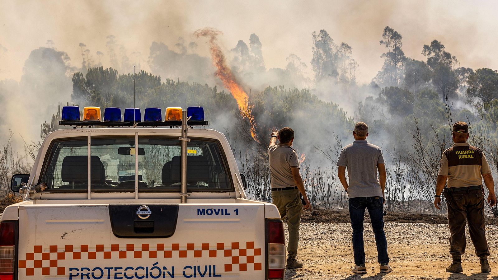 Niebla vive uno de los peores incendios de la historia reciente de Andalucía: más de 31.000 hectáreas calcinadas y cientos de personas evacuadas
