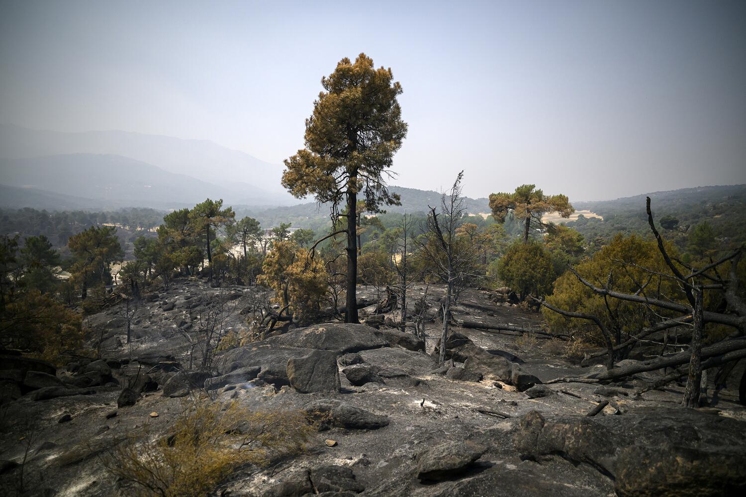 El cambio climático dispara un julio récord en España con más de 30.000 hectáreas quemadas y miles de muertes por calor