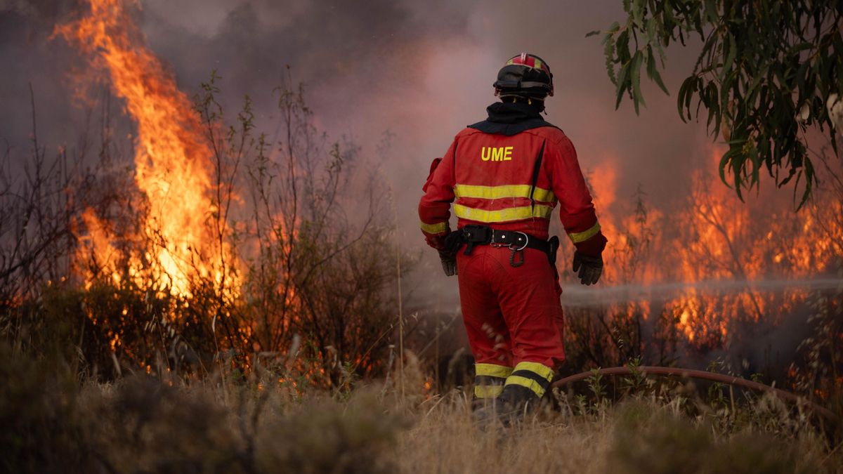 La solidaridad se vuelca con los afectados por el incendio de Huelva: vecinos, voluntarios y empresas se movilizan para ayudar