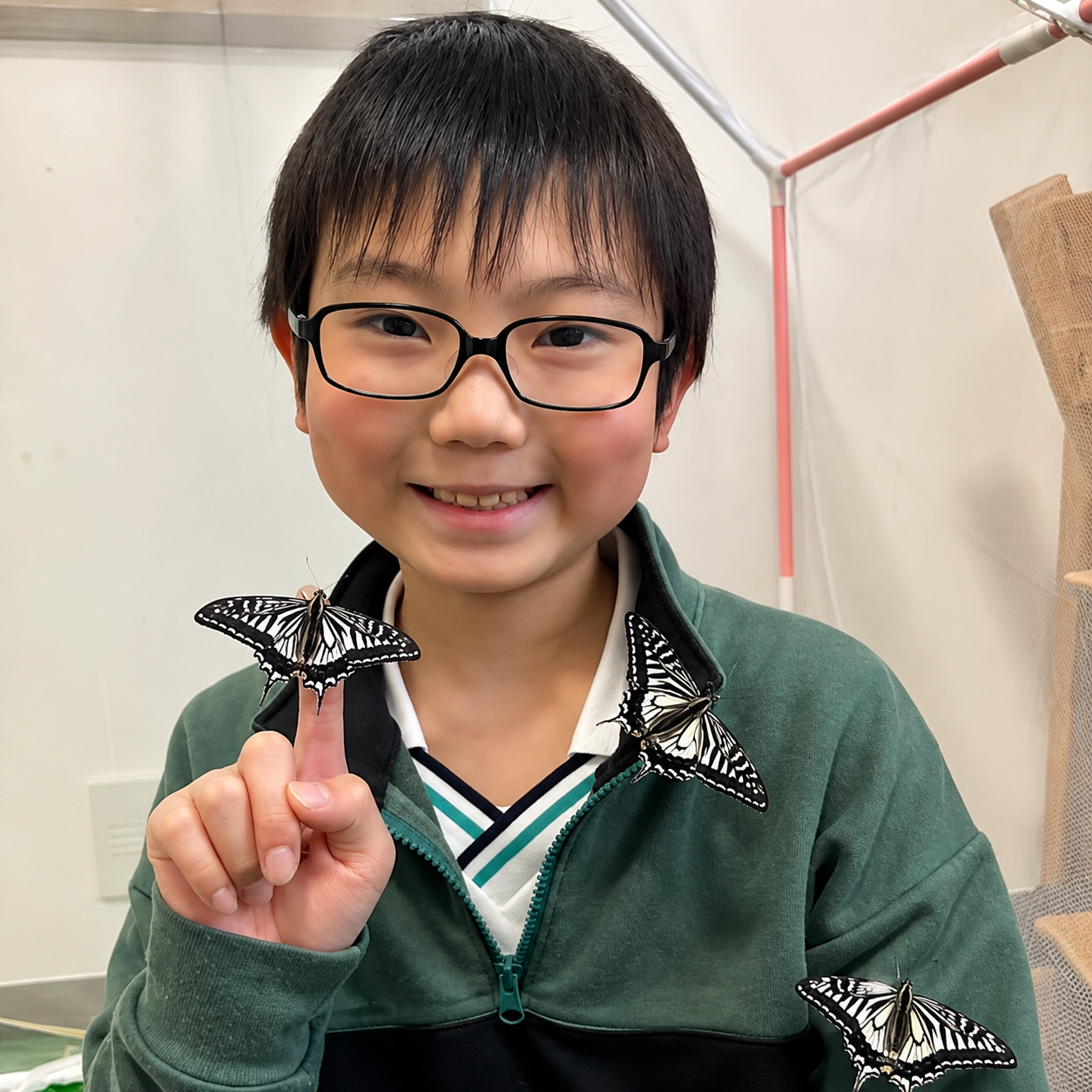 Jo Nagai tenía 10 años cuando sus mariposas empezaron a desafiar una pregunta enorme: ¿puede heredarse una experiencia?