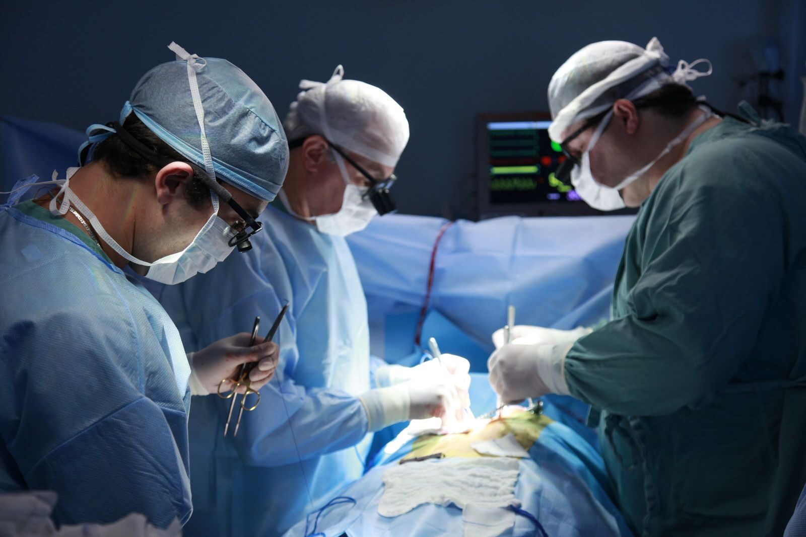 Un riñón de cerdo modificado genéticamente mantiene con vida a un hombre durante nueve meses hasta lograr un trasplante humano