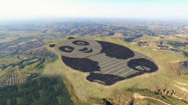 El panda solar de Datong: cuando la transición energética le habla a los jóvenes