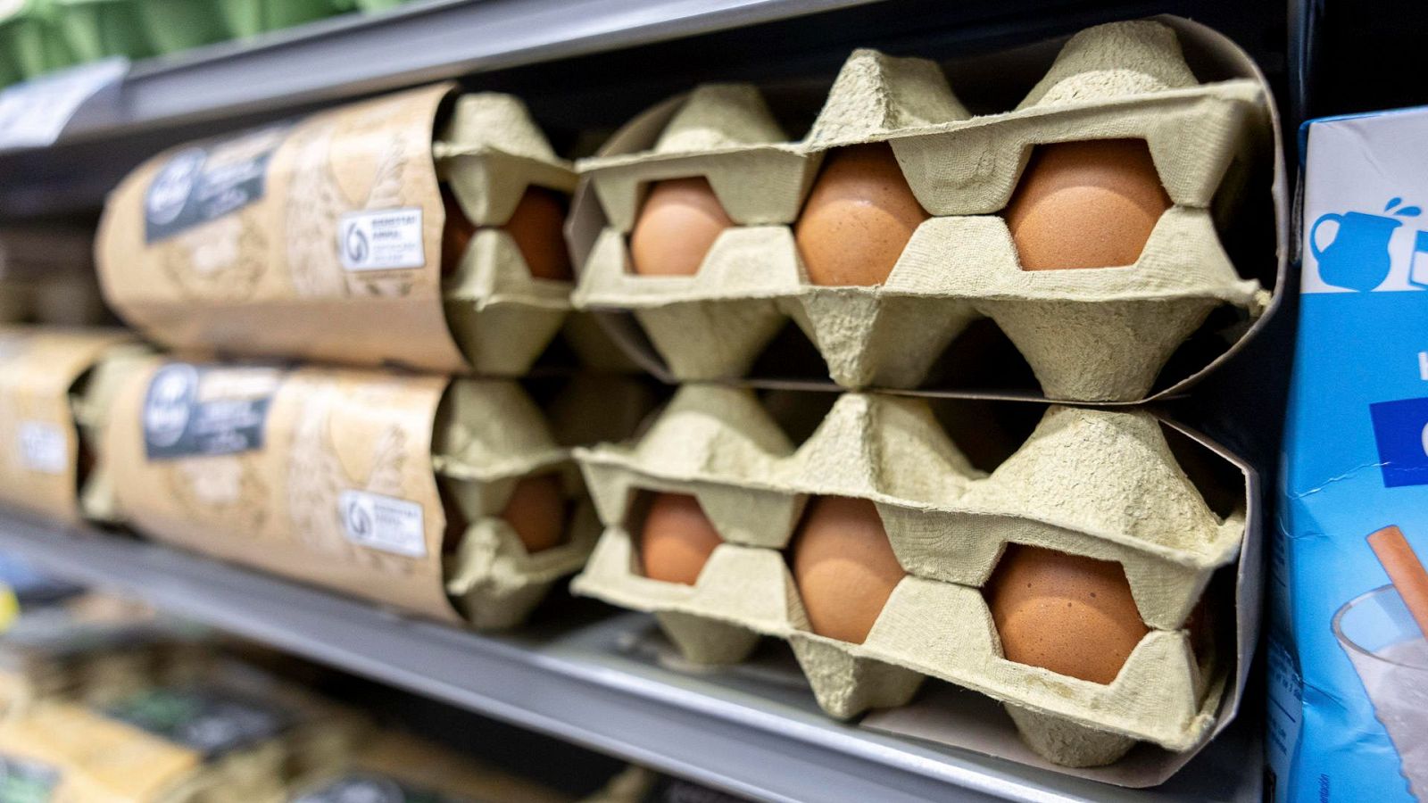 Los alimentos suben un 31,8% desde 2021, un 54% más que los salarios, y obligan a las familias a recortar la compra