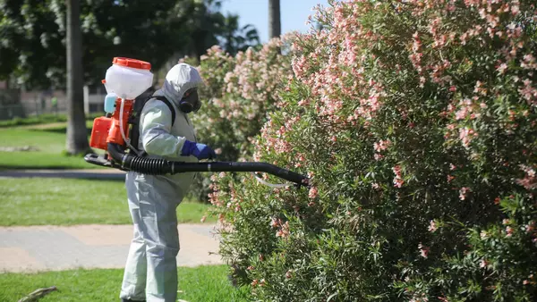 El virus del Nilo Occidental bate récord en la UE con 1.715 casos, 139 de ellos en España
