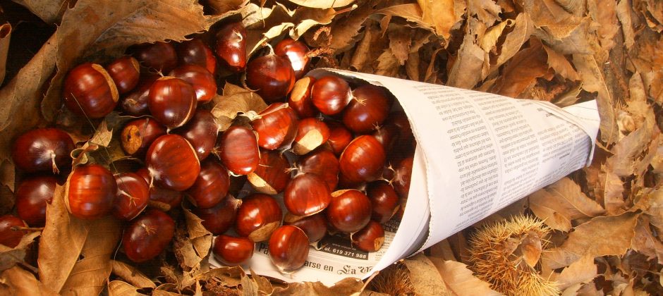 El CEIP Tagoror y Red Araña unen ilusión, tradición y experiencia para celebrar el Día de los Finaos